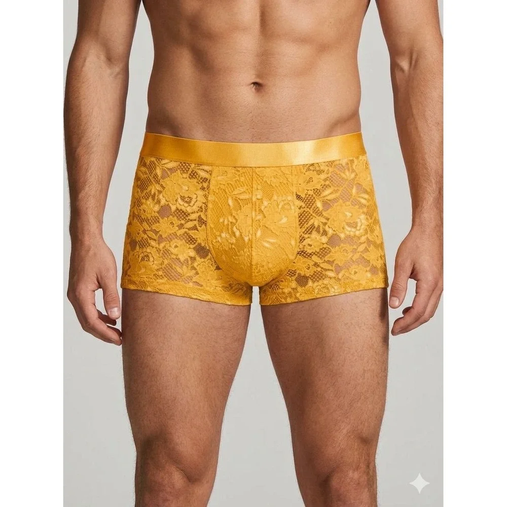 Cosabella Never Say Never Mens‎ Classic Trunk Lace Boxer Briefs Size Large  New